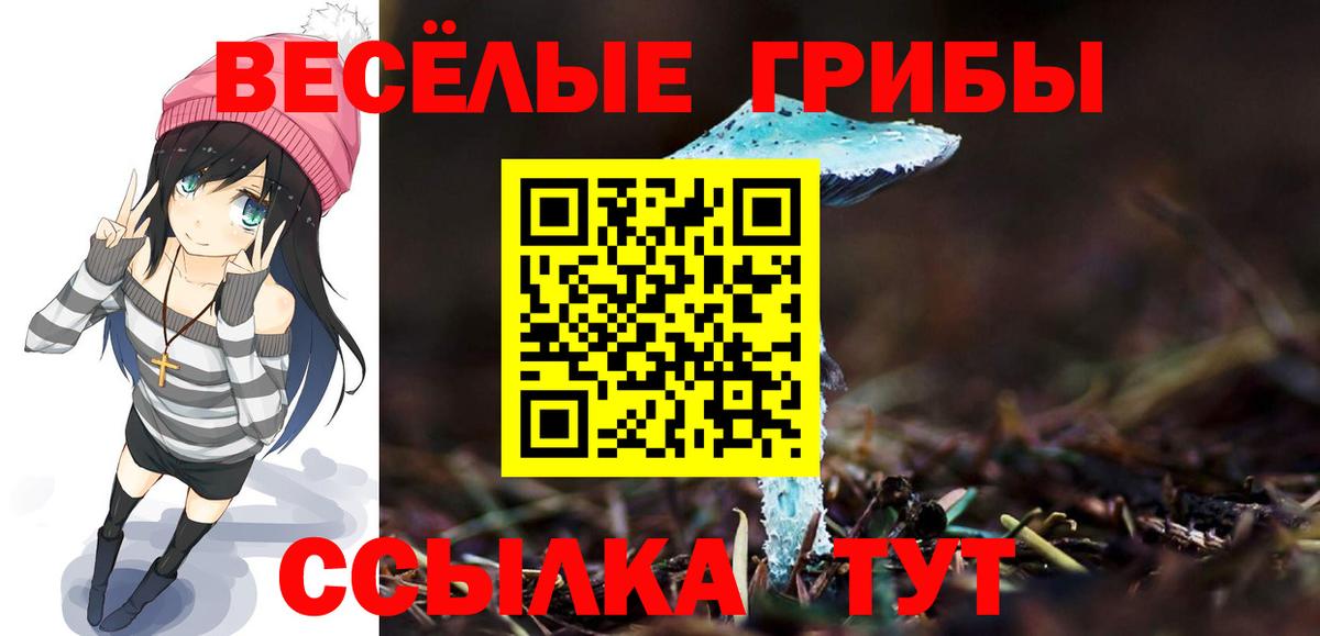 Горячий Ключ  Псилоцибиновые грибы Psilocybine cubensis  Вход с VPN 